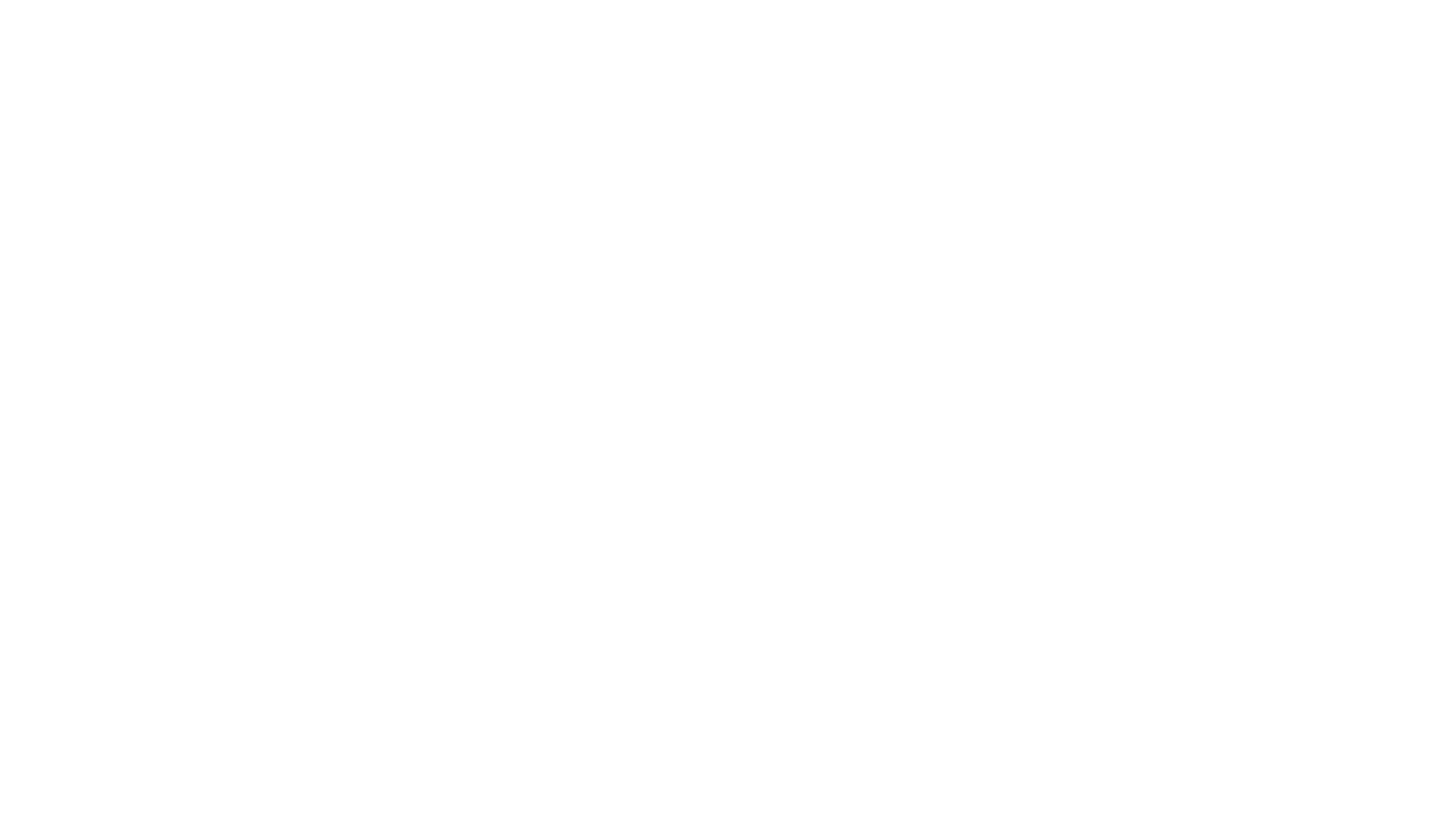 Sandisk is a partner of Retail Profiling