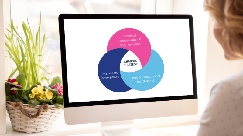 An infographic of what Channel Development means to our clients